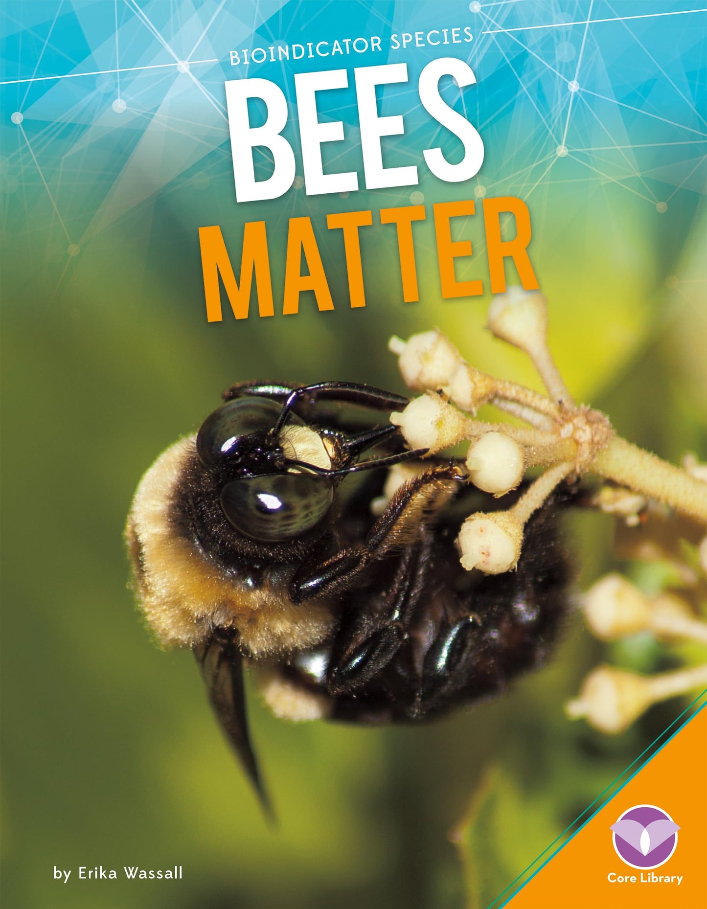 Bees Matter (Bioindicator Species)