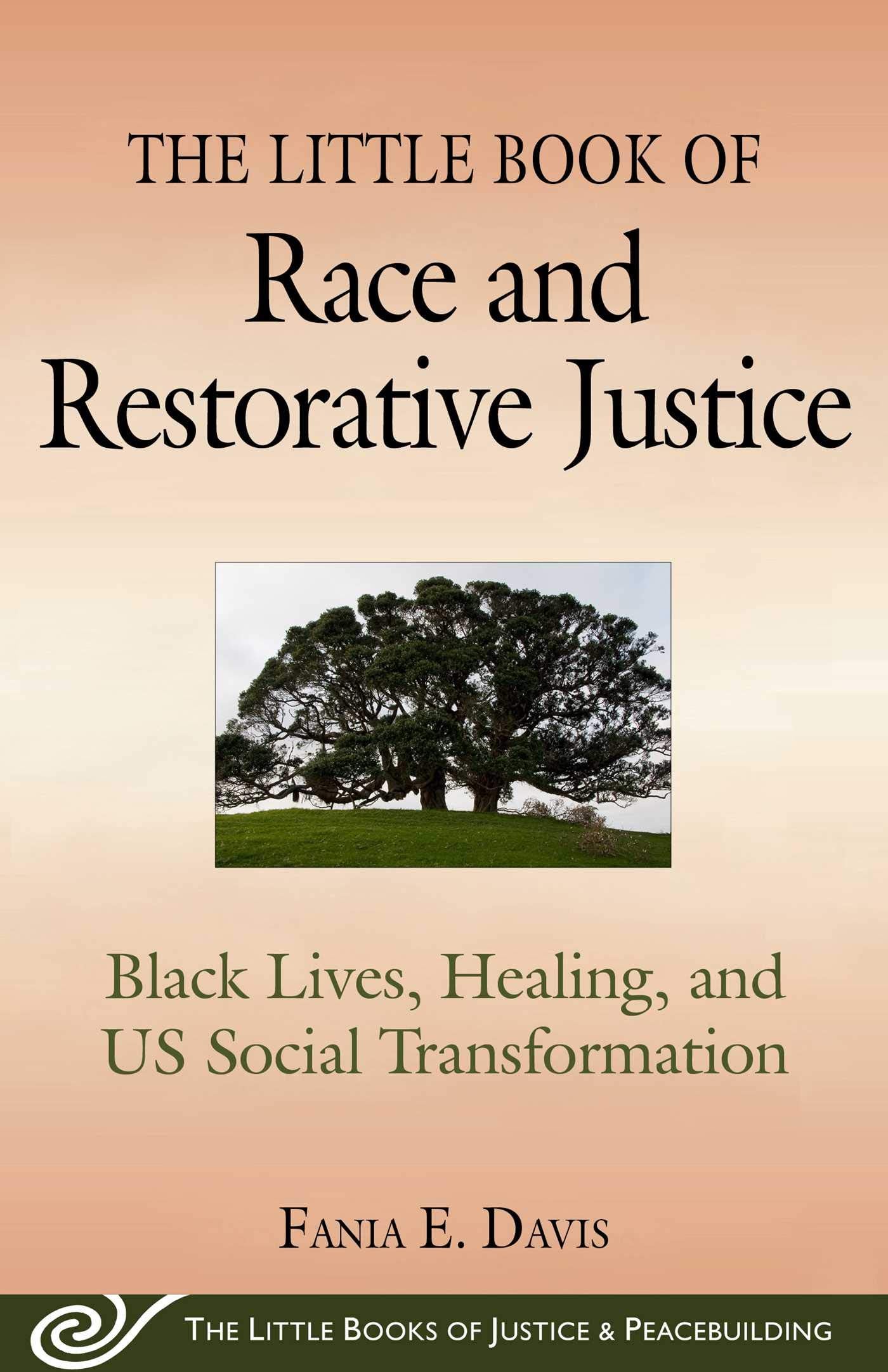 The Little Book of Race and Restorative Justice: Black Lives, Healing, and US Social Transformation (Justice and Peacebuilding) - 4853