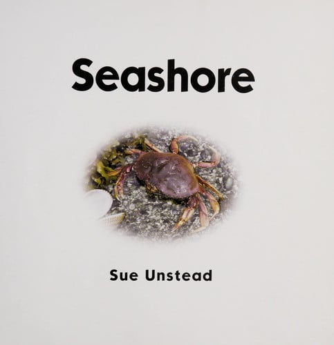 Seashore