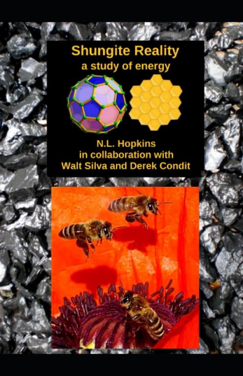 Shungite Reality: a study of energy