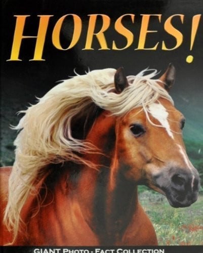 Horses!