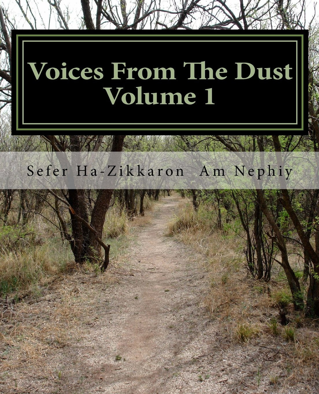Voices From The Dust: The Record of the Nephiy - Volume 1 - 4013