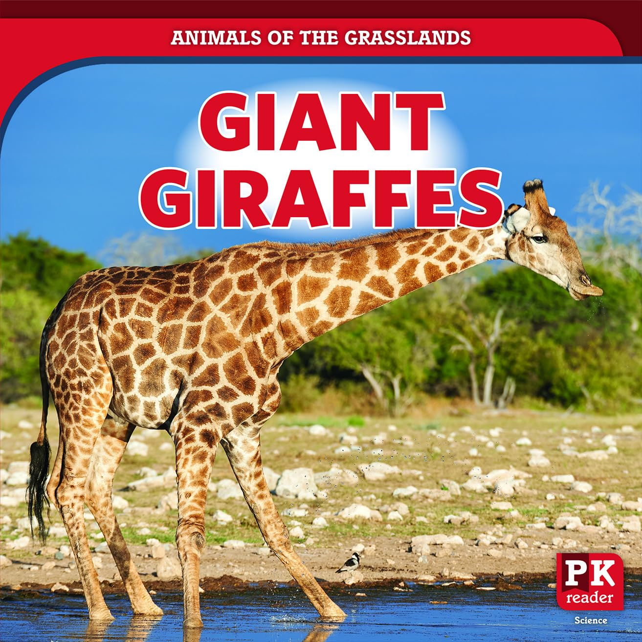 Giant Giraffes (Animals of the Grasslands)