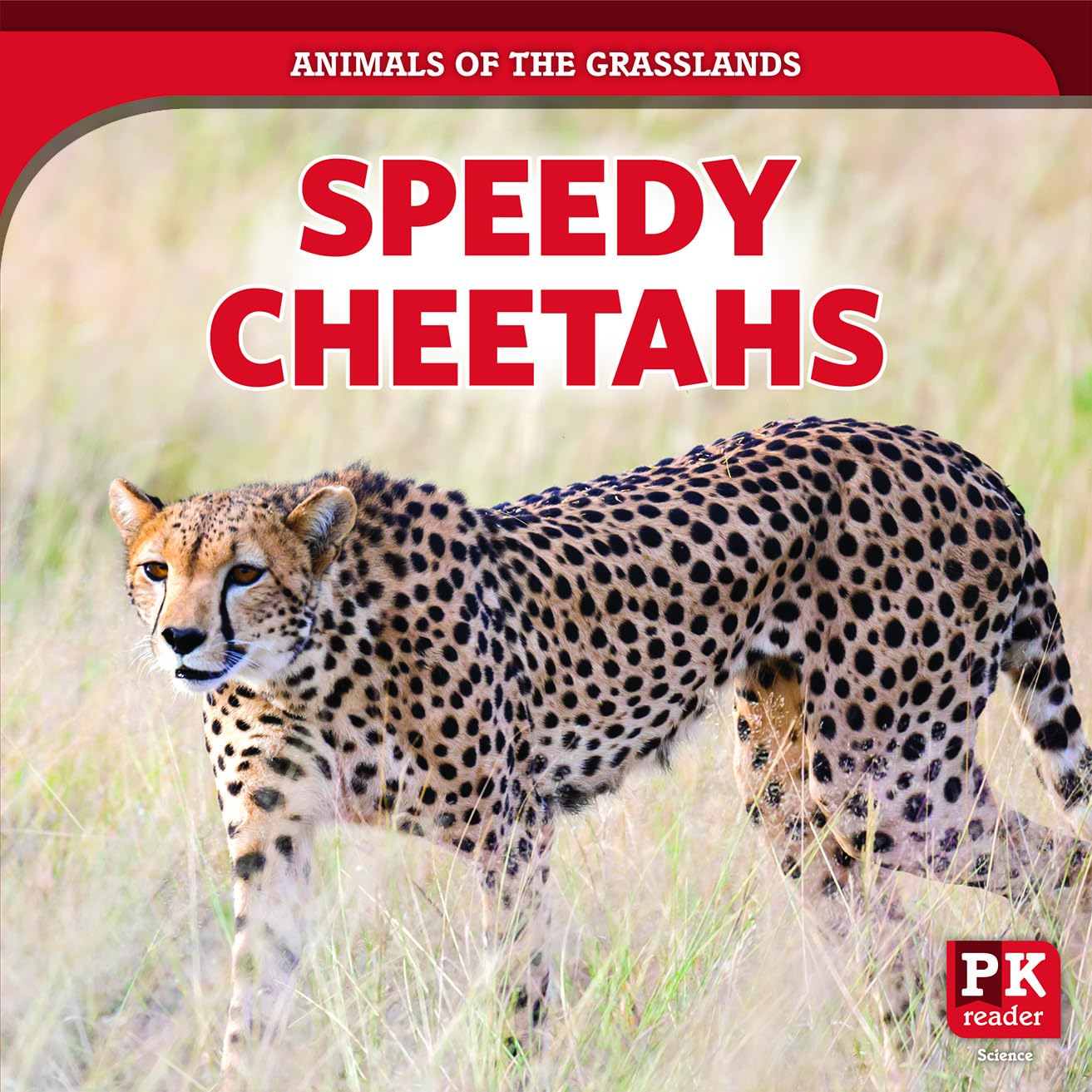 Speedy Cheetahs (Animals of the Grasslands)