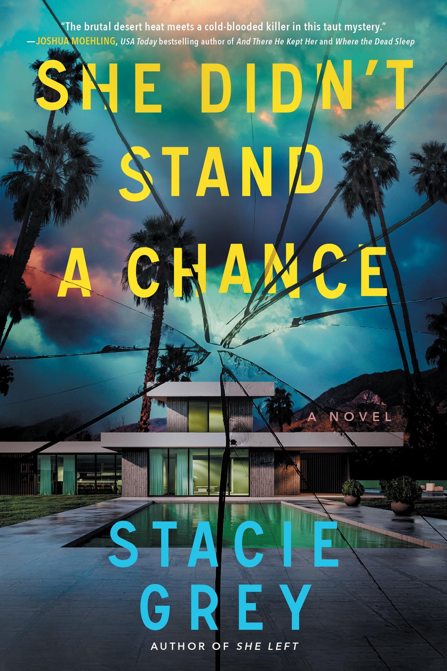 She Didn't Stand a Chance: A Novel