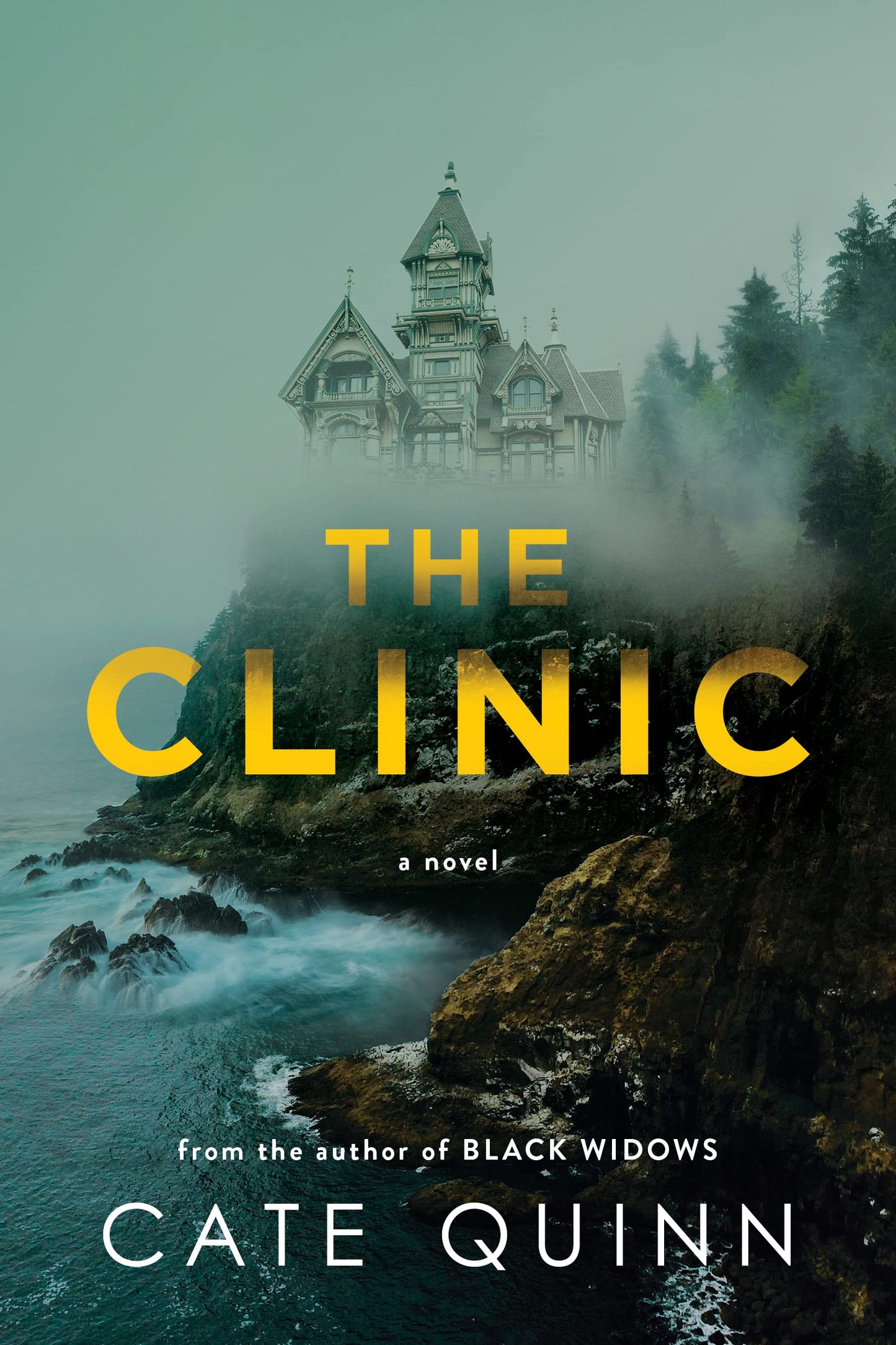 The Clinic: A Locked-Room Thriller About Sisterhood and Survival
