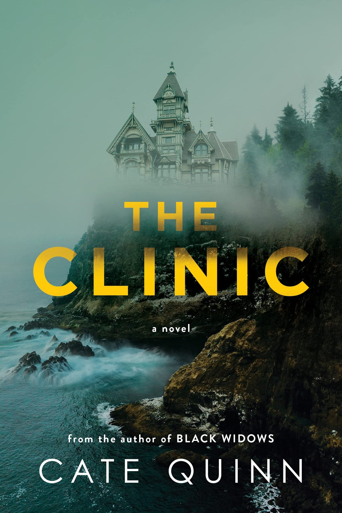 The Clinic: A Locked-Room Thriller About Sisterhood and Survival