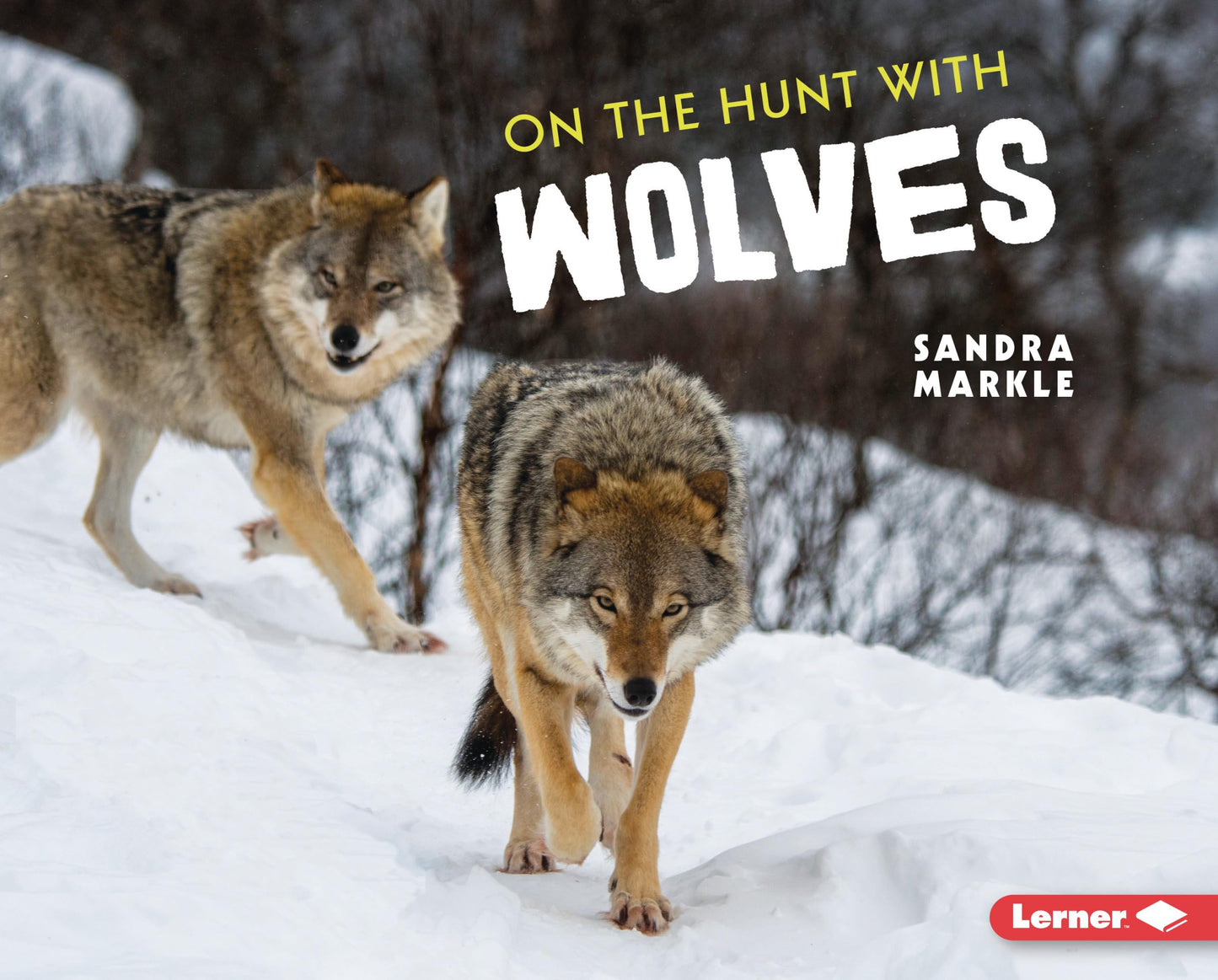 On the Hunt with Wolves (Ultimate Predators)