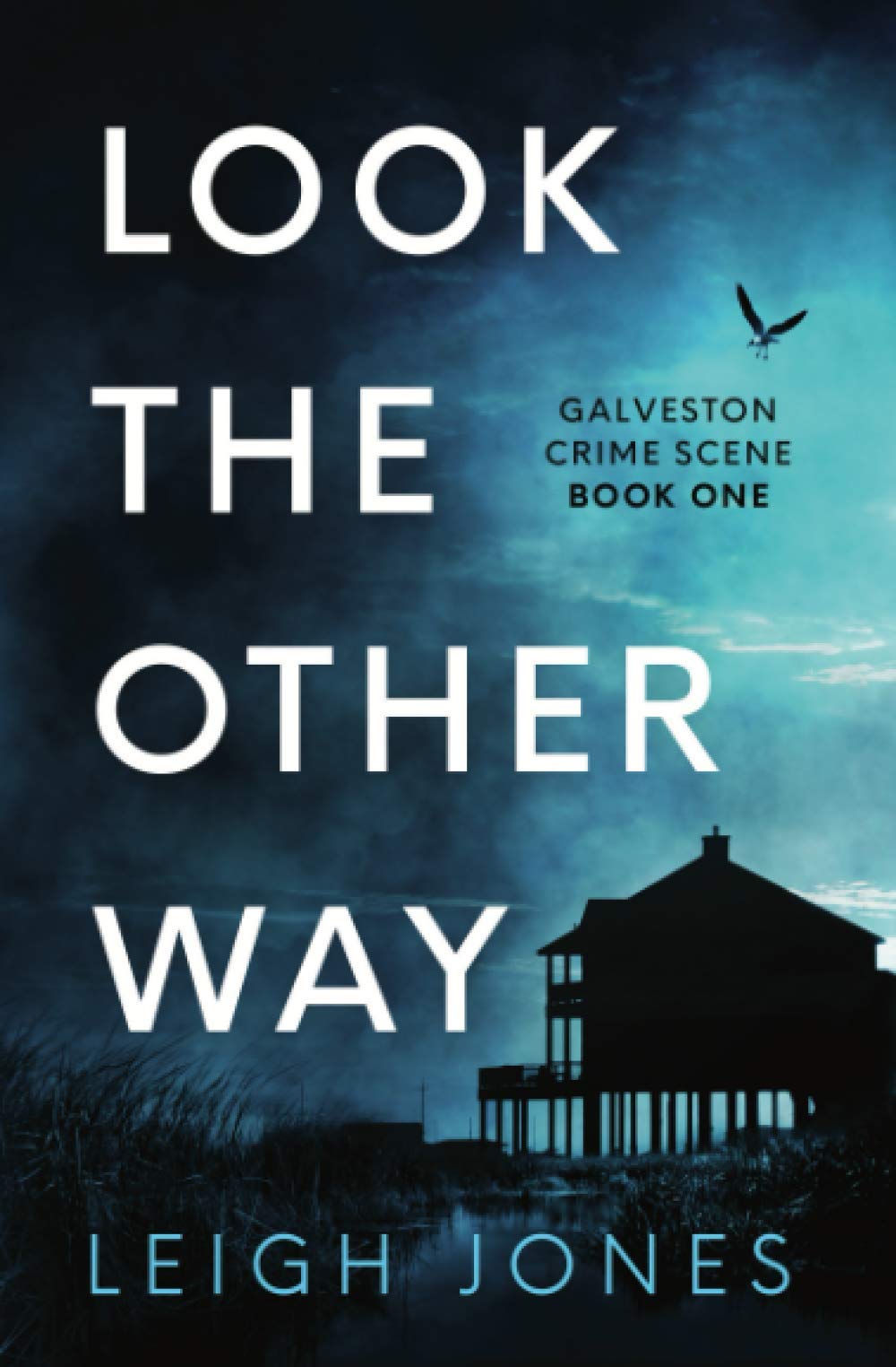 Look The Other Way: Galveston Crime Scene Book 1