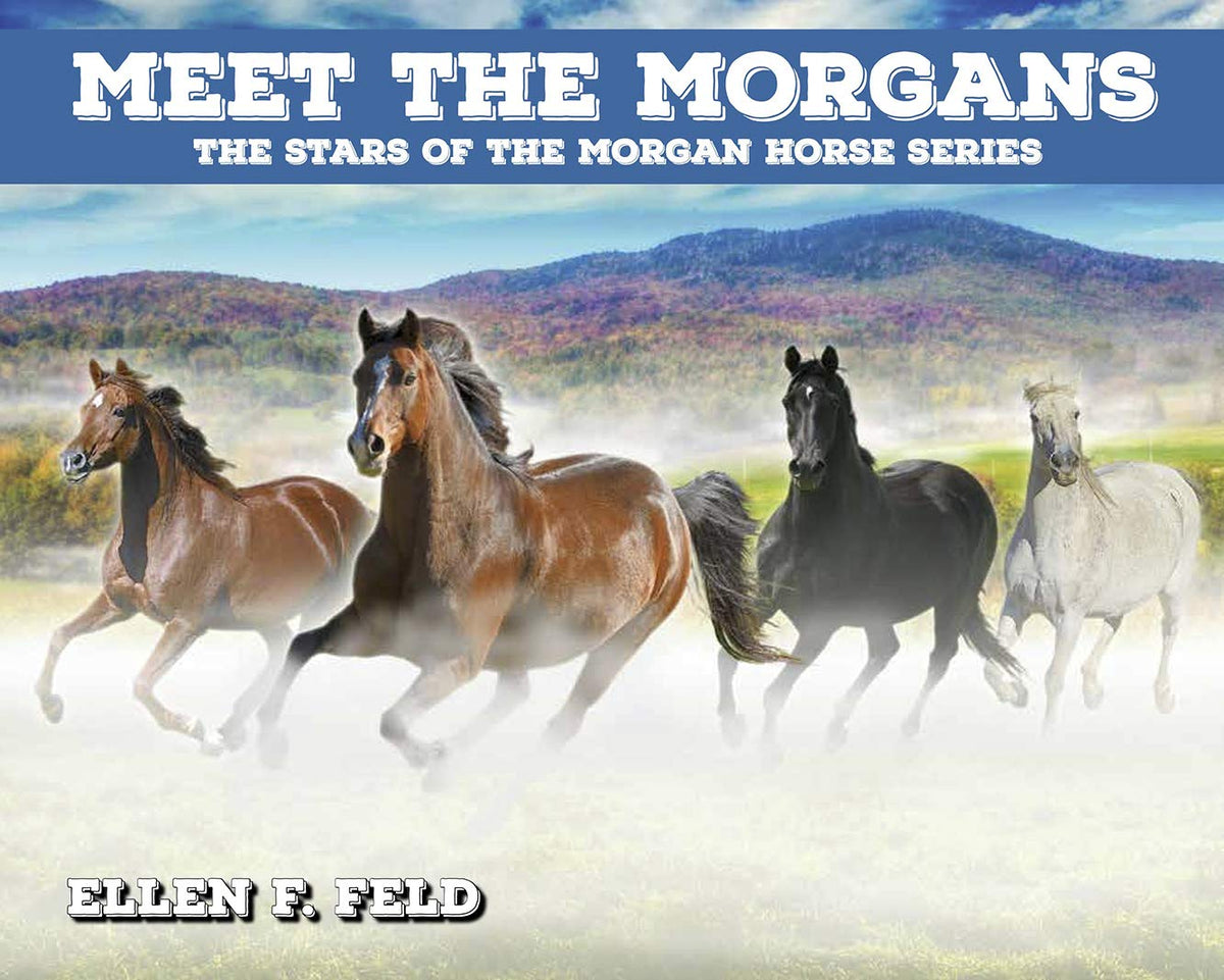 Meet The Morgans: The Stars of the Morgan Horse Series (Morgan Horse Series, Book 8)