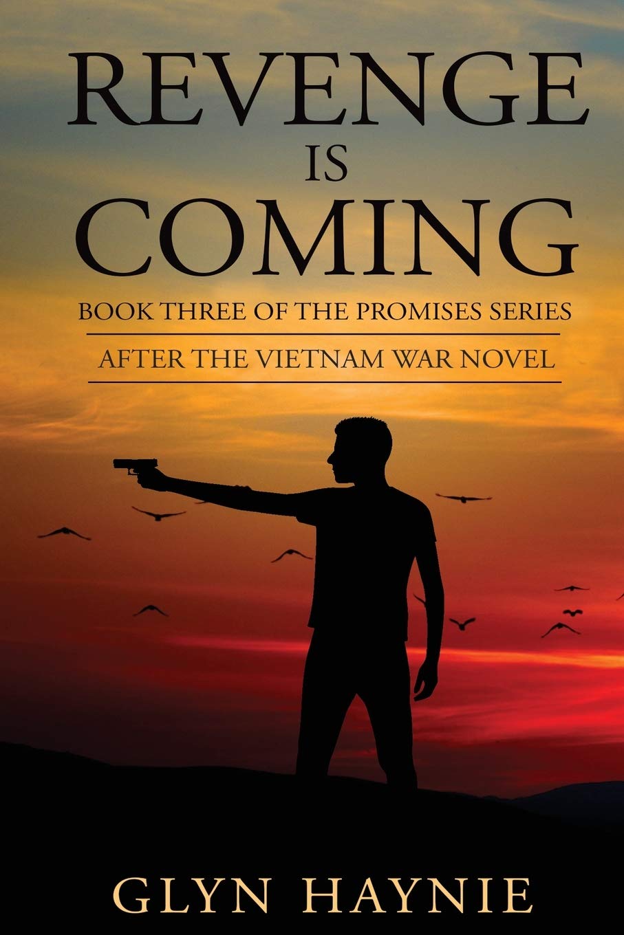 Revenge Is Coming: After the Vietnam War Novel (Promises To The Fallen)