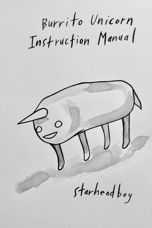 Burrito Unicorn Instruction Manual - 8841