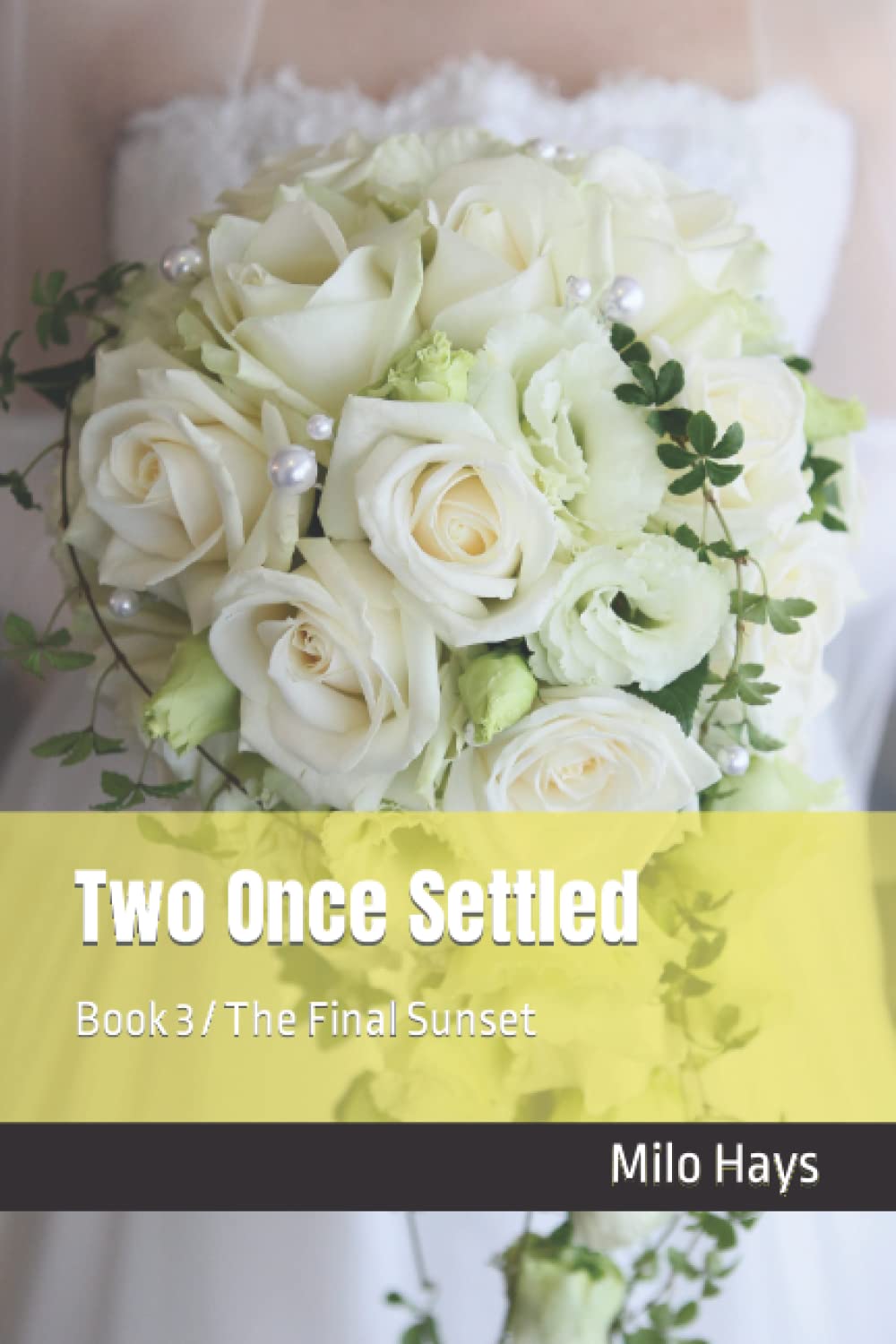 Two Once Settled: Book 3 / The Final Sunset (Two Once Removed)