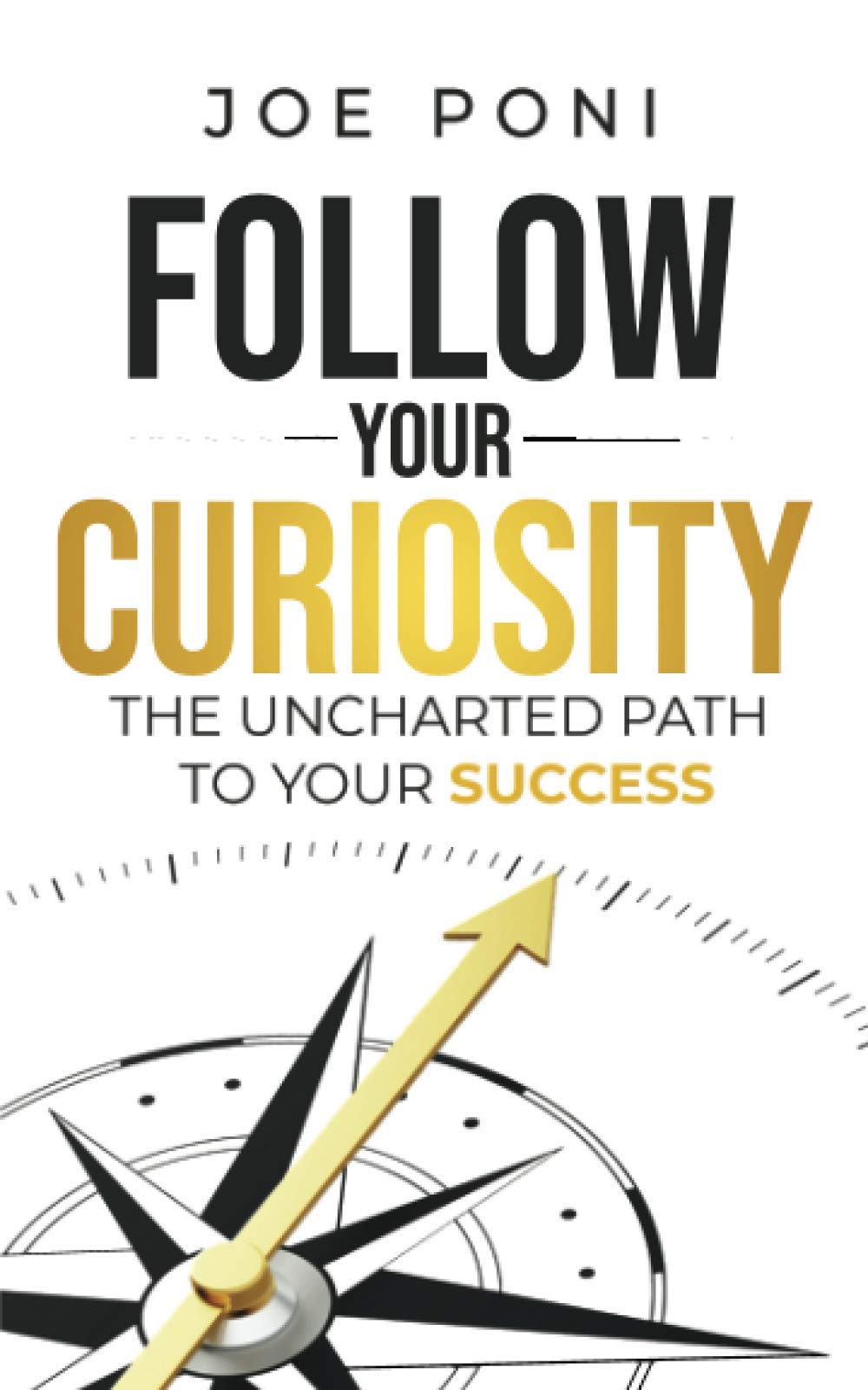 Follow Your Curiosity: The Uncharted Path to Your Success