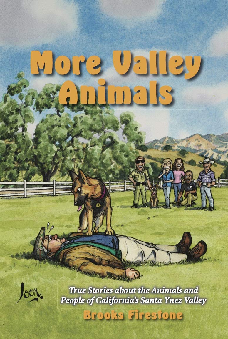 More Valley Animals 2020