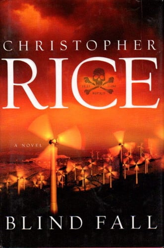 Blind fall: a novel