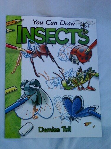 Insects (You Can Draw)