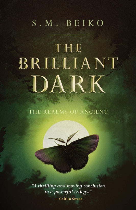 The Brilliant Dark: The Realms of Ancient, Book 3 (3) - 8388