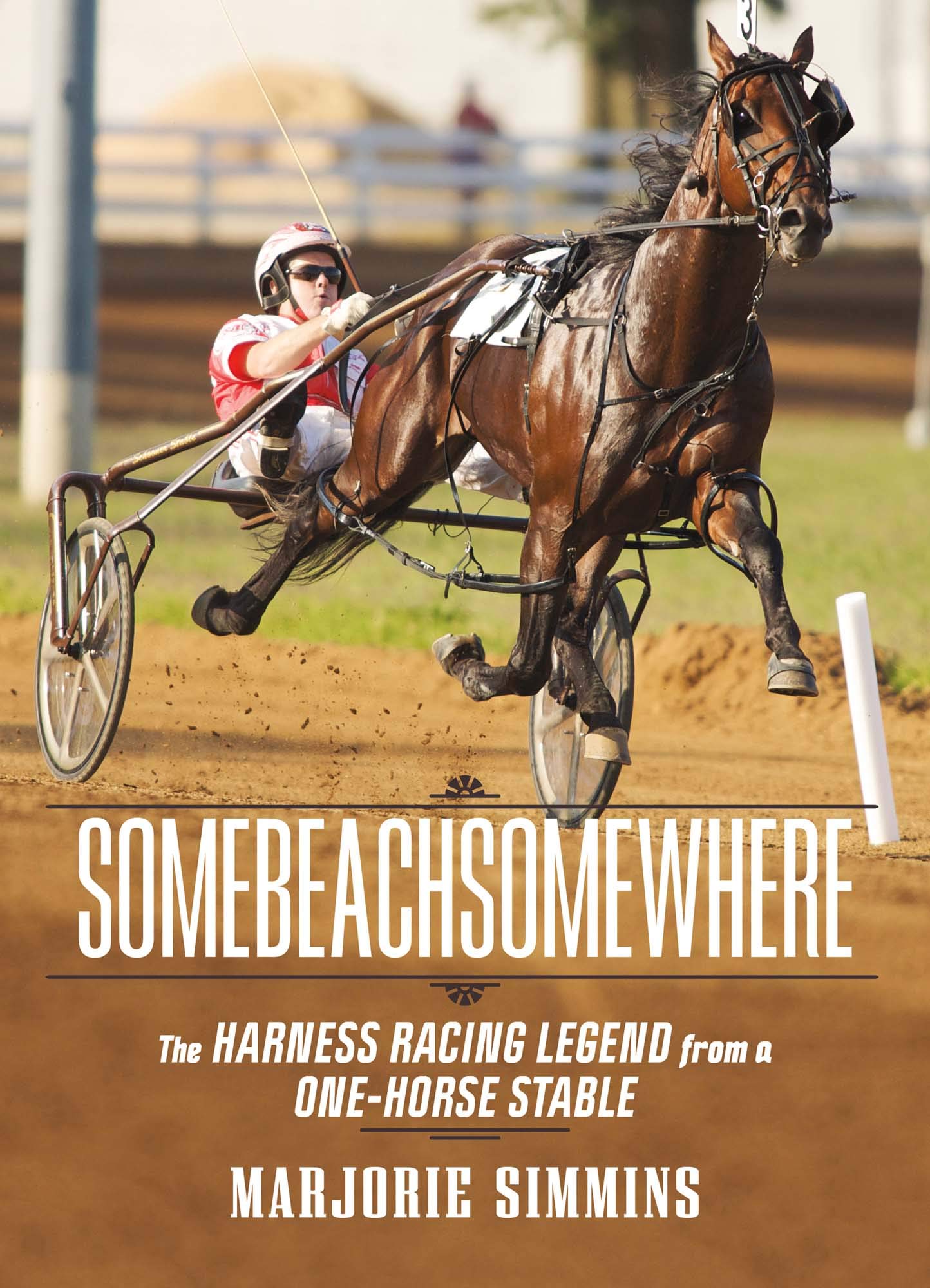Somebeachsomewhere: A Harness Racing Legend from a One-Horse Stable - 9185