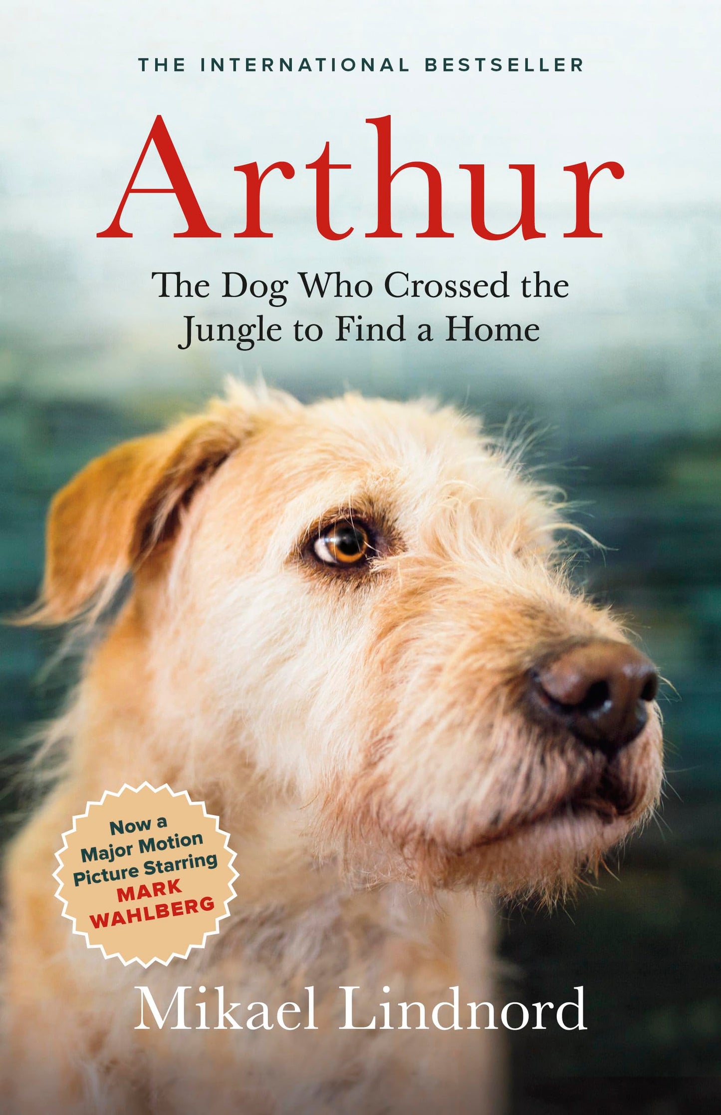 Arthur: The Dog who Crossed the Jungle to Find a Home ((Now the Film Arthur the King)) - 4668