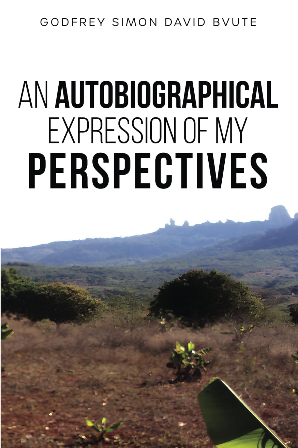 AN AUTOBIOGRAPHICAL EXPRESSION OF MY PERSPECTIVES