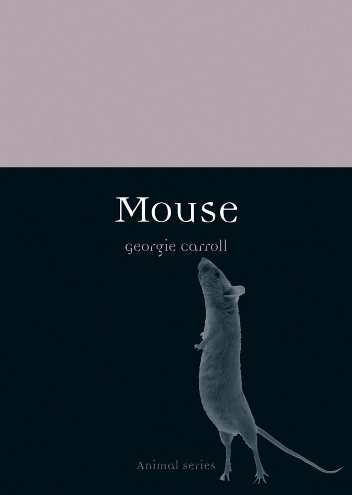 Mouse (Animal)