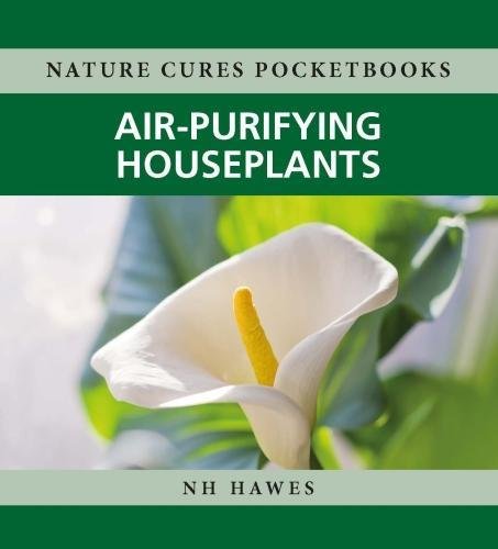 Nature Cures Pocketbooks: Air-purifying Houseplants