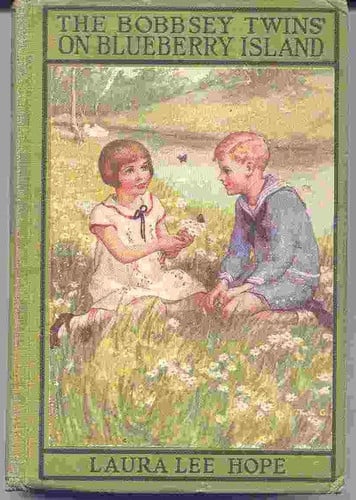 The Bobbsey Twins on Blueberry Island