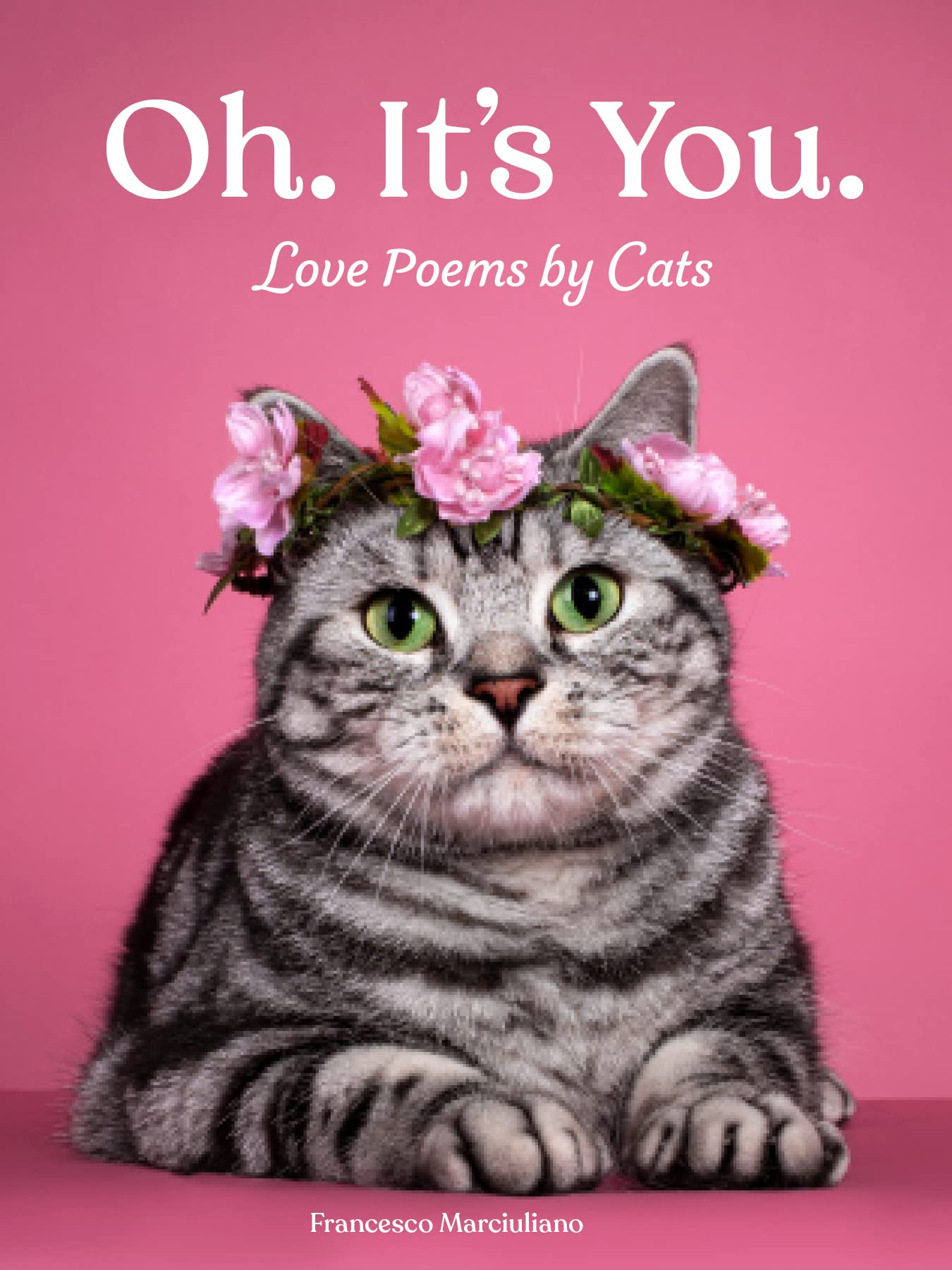 Oh. It's You.: Love Poems by Cats - 7384