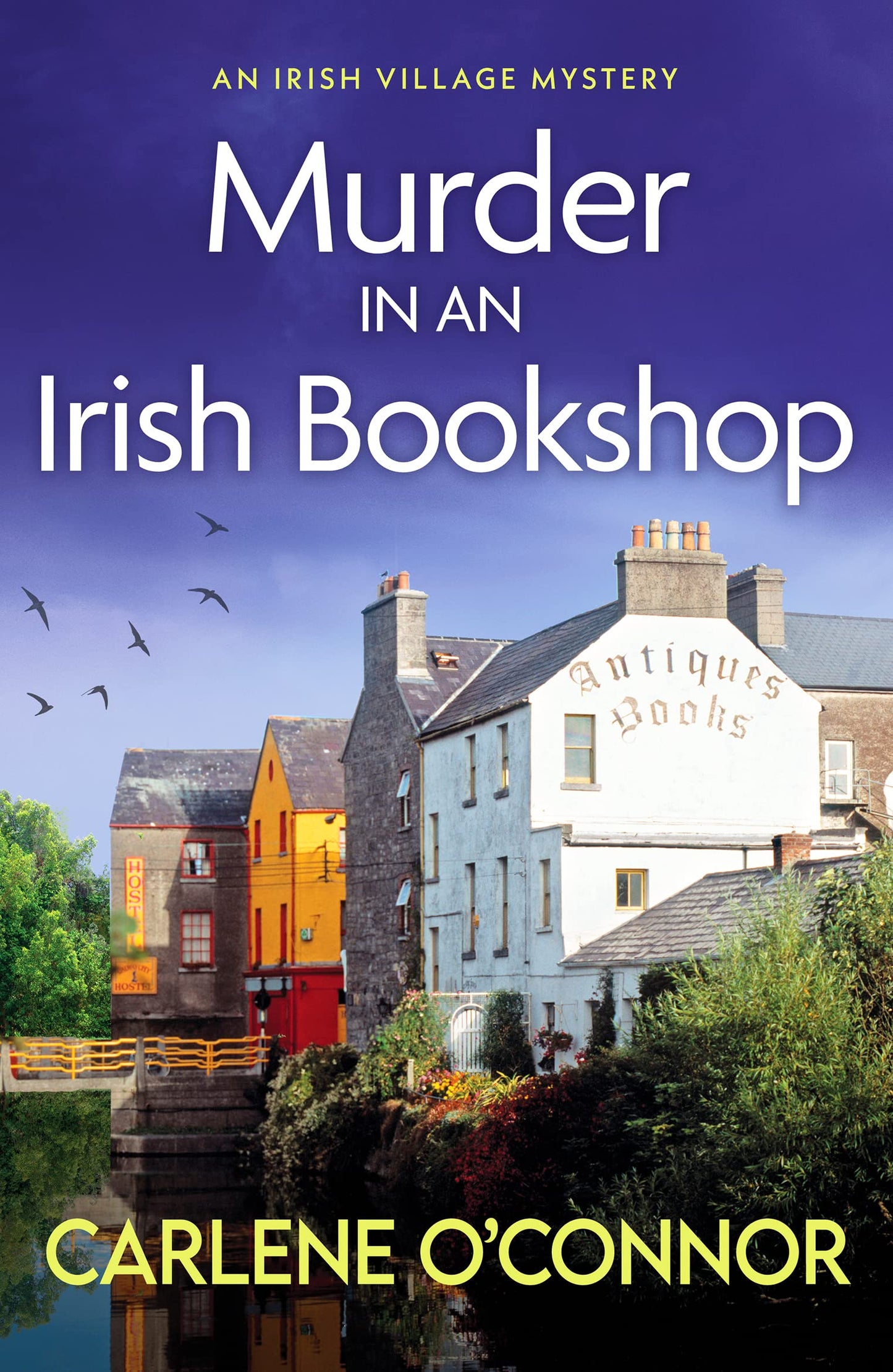 Murder in an Irish Bookshop: A totally gripping Irish village mystery (An Irish Village Mystery)