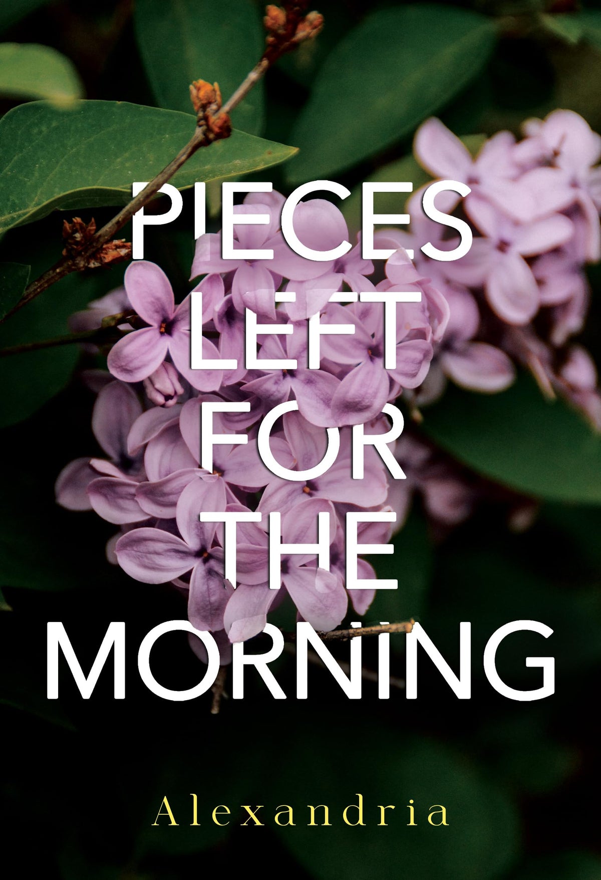 Pieces Left for the Morning
