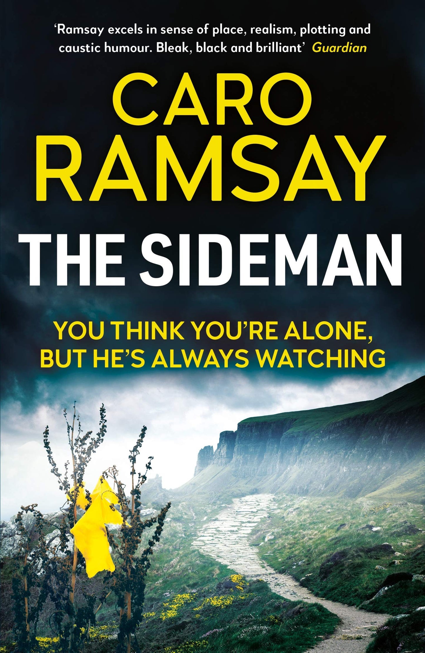 The Sideman (Anderson and Costello thrillers, 10)