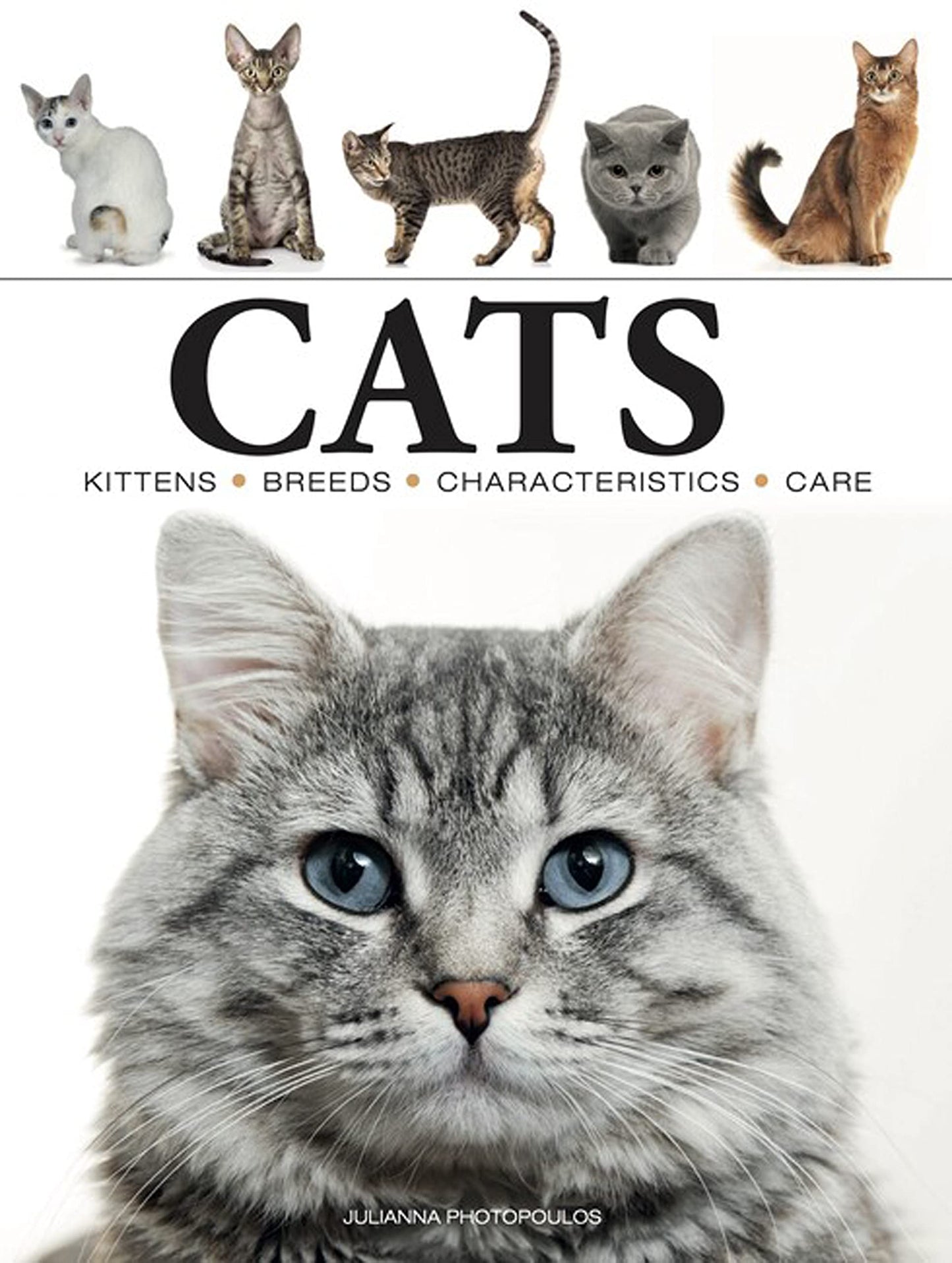Cats (Mini Encyclopedias) - 5966