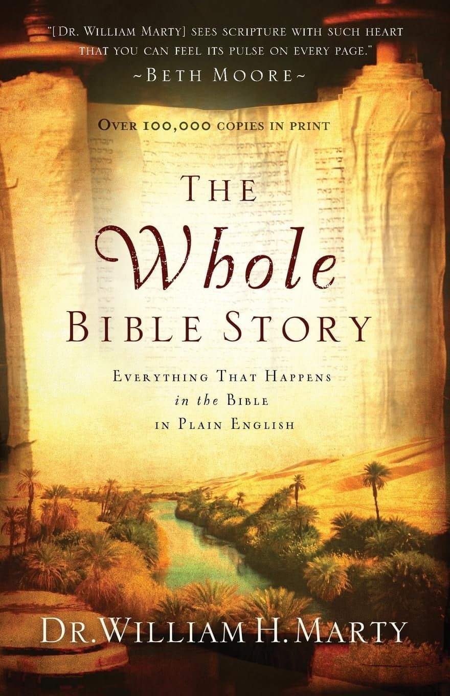 The Whole Bible Story Everything That Happens in the Bible in Plain English