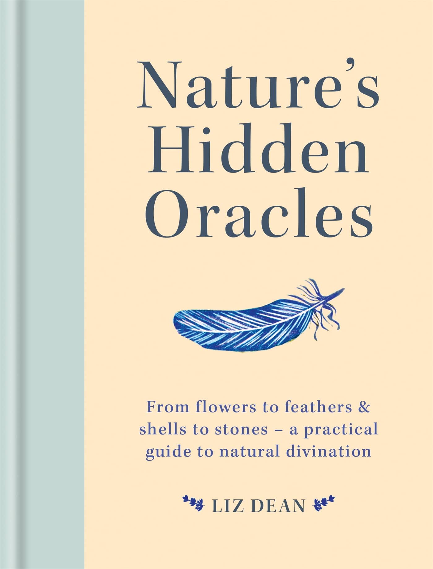 Nature's Hidden Oracles: From flowers to feathers & shells to stones - a practical guide to natural divination