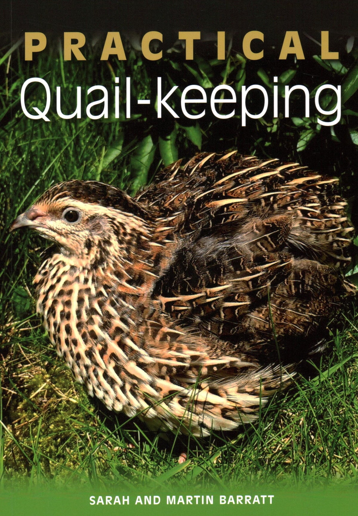 Practical Quail-keeping