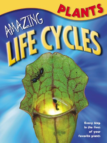 Plants (Amazing Life Cycles)