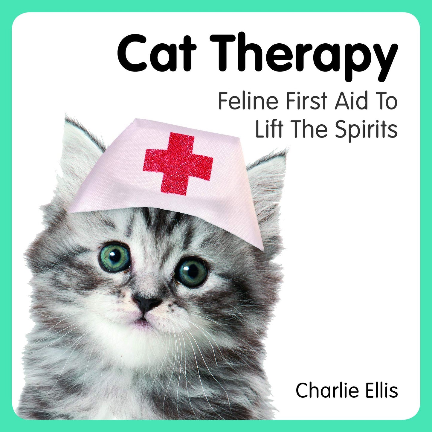 Cat Therapy: Feline First Aid to Lift the Spirits - 4195