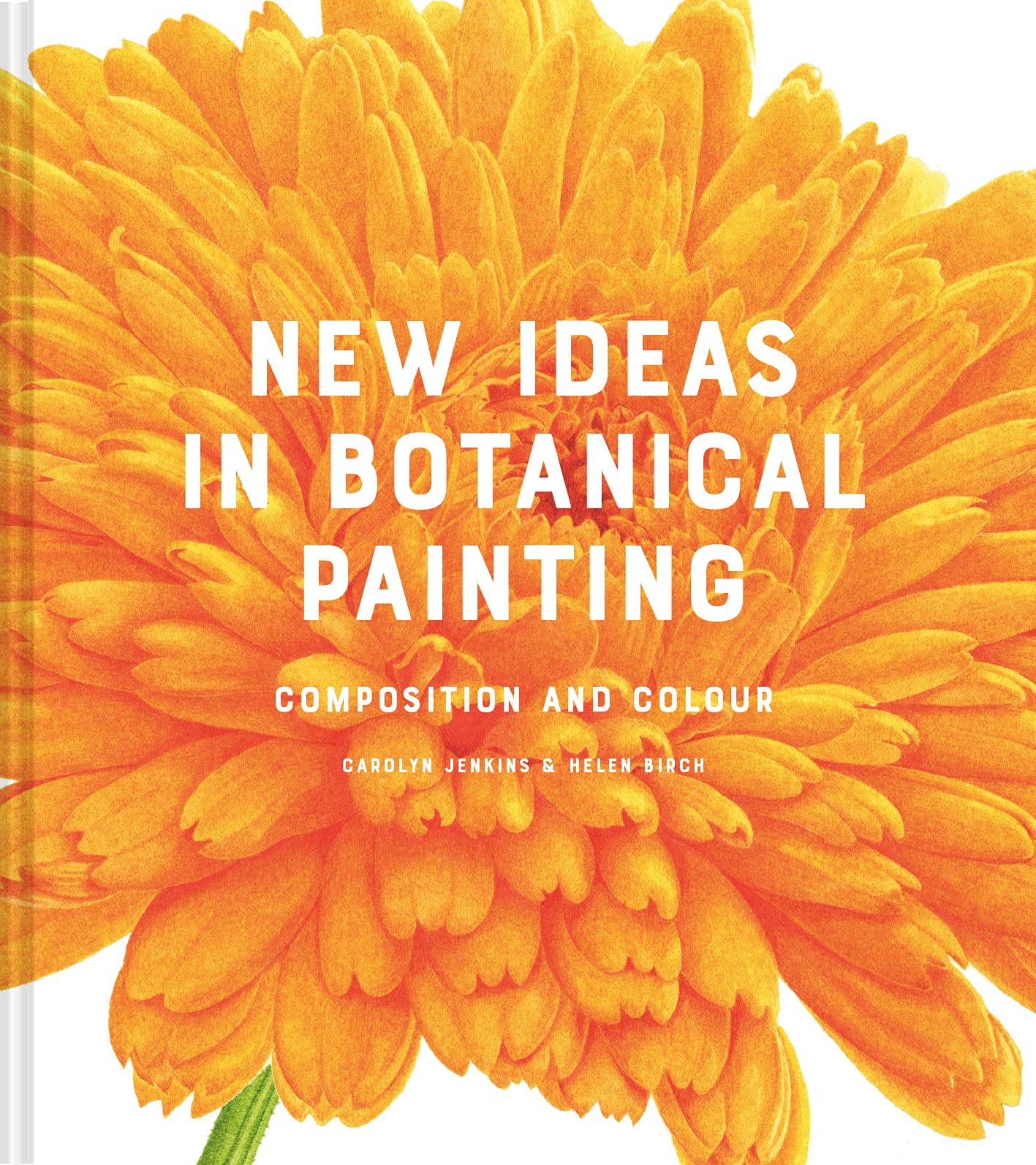 New Ideas in Botanical Painting: Composition and Colour - 1871