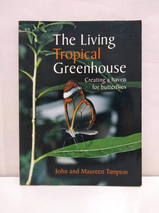 The Living Tropical Greenhouse: Creating a Haven for Butterflies - 3768