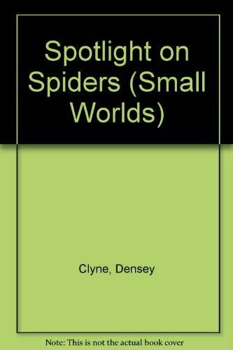 Spotlight on Spiders (Densey Clyne's Small Worlds)