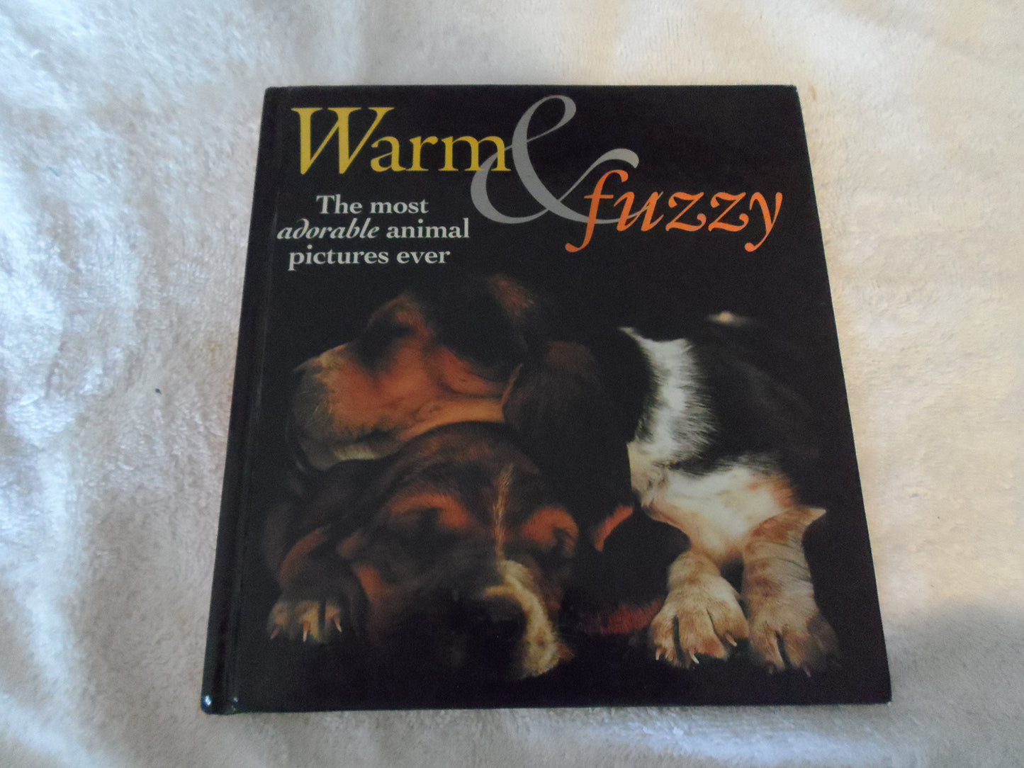 Warm & Fuzzy