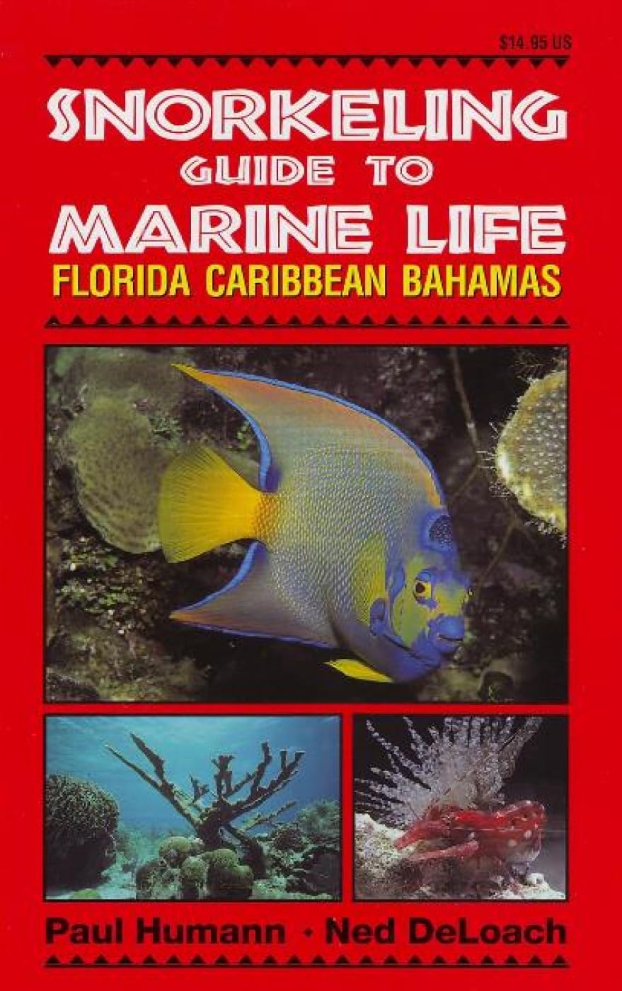 Snorkeling Guide to Marine Life Florida, Caribbean, Bahamas - 8980
