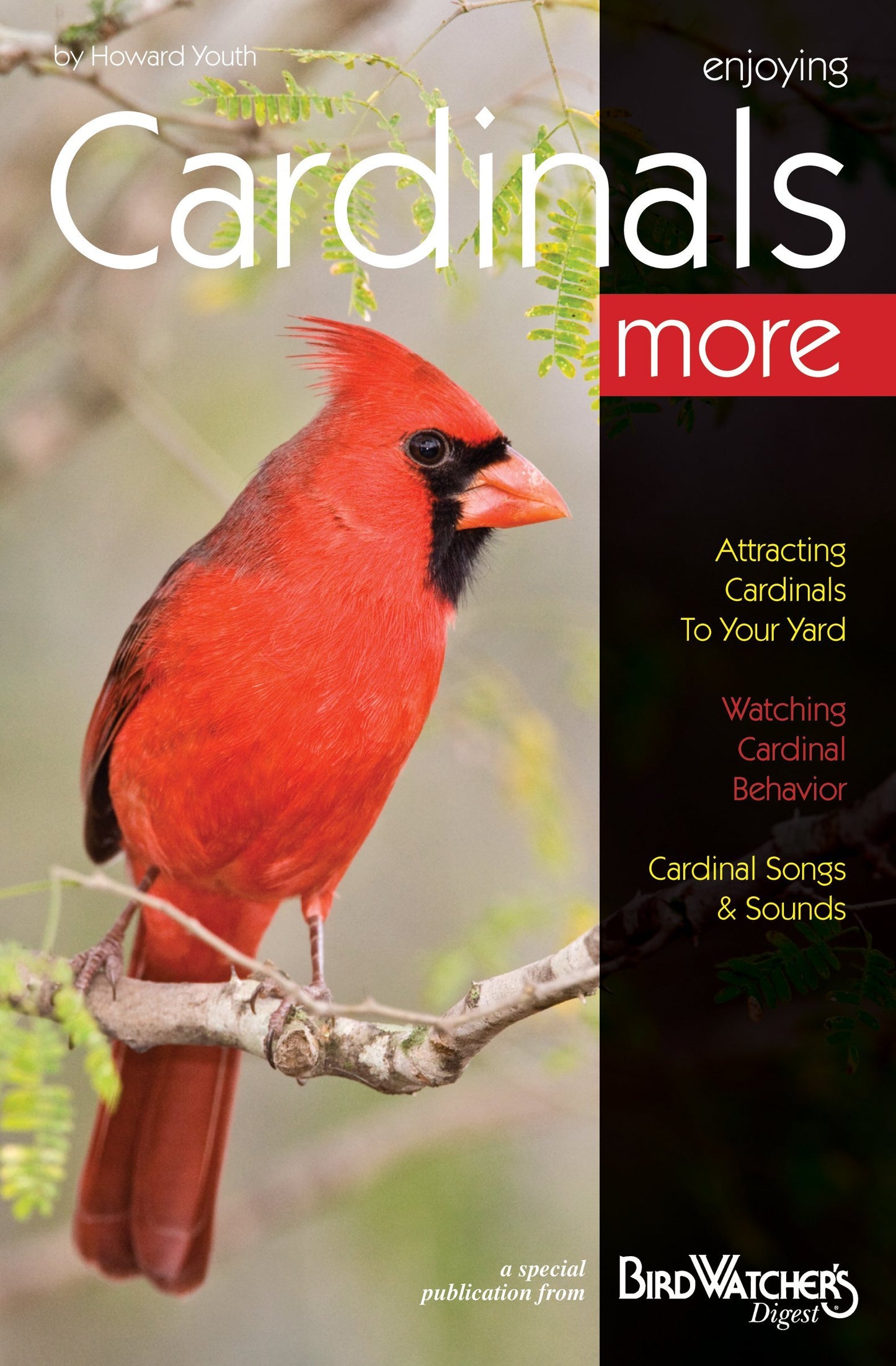 Enjoying Cardinals More - A Special Publication from Bird Watcher's Digest
