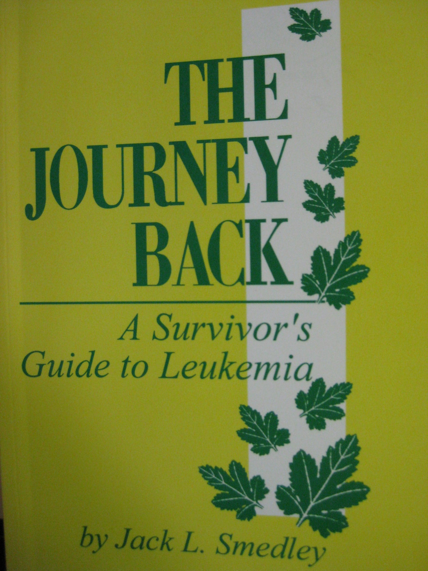 The Journey Back: A Survivors Guide to Leukemia