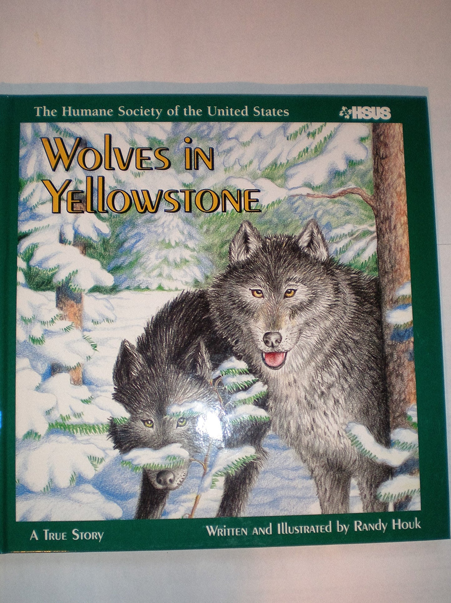 Wolves in Yellowstone