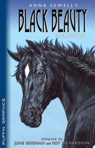 Puffin Graphics: Black Beauty