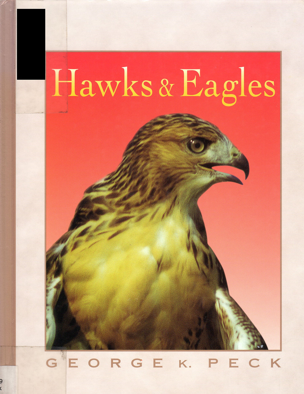 Hawks & Eagles