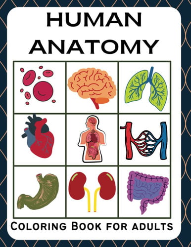 Human Anatomy Coloring Book: Anatomy coloring book for Adults, Teens, Nursing & Medical Students