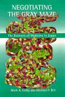 Negotiating the Gray Maze: The Business of Medicine in Japan